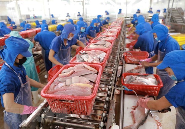 Fisheries exports down in July – BNT Machinery