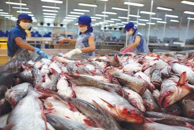 Vietnam poised to become world’s leading seafood processing centre